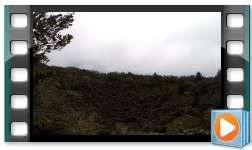 RangitotoCrater